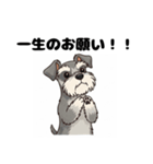 ミニチュアシュナウザーのしゅな吉（個別スタンプ：25）