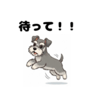 ミニチュアシュナウザーのしゅな吉（個別スタンプ：26）