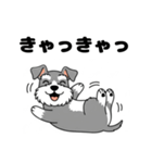 ミニチュアシュナウザーのしゅな吉（個別スタンプ：34）