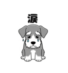 ミニチュアシュナウザーのしゅな吉（個別スタンプ：36）