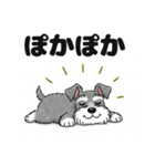 ミニチュアシュナウザーのしゅな吉（個別スタンプ：37）