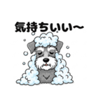 ミニチュアシュナウザーのしゅな吉（個別スタンプ：39）