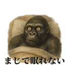 病み気味繊細メンヘラゴリラ（個別スタンプ：29）