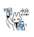 ドラッグストアの猫前2（個別スタンプ：15）