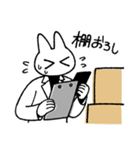 ドラッグストアの猫前2（個別スタンプ：30）