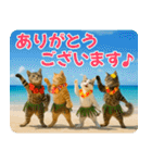 ずっと使える♡夏の気づかいニャンコ（個別スタンプ：1）