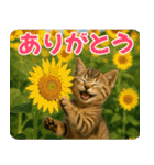 ずっと使える♡夏の気づかいニャンコ（個別スタンプ：2）