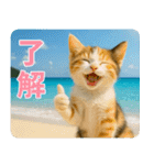 ずっと使える♡夏の気づかいニャンコ（個別スタンプ：7）