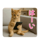 ずっと使える♡夏の気づかいニャンコ（個別スタンプ：8）
