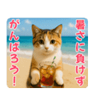 ずっと使える♡夏の気づかいニャンコ（個別スタンプ：10）