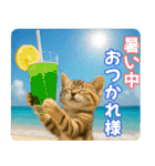 ずっと使える♡夏の気づかいニャンコ（個別スタンプ：11）