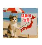 ずっと使える♡夏の気づかいニャンコ（個別スタンプ：15）