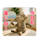 ずっと使える♡夏の気づかいニャンコ（個別スタンプ：16）