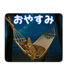 ずっと使える♡夏の気づかいニャンコ（個別スタンプ：18）