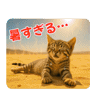 ずっと使える♡夏の気づかいニャンコ（個別スタンプ：19）