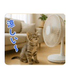 ずっと使える♡夏の気づかいニャンコ（個別スタンプ：21）