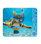 ずっと使える♡夏の気づかいニャンコ（個別スタンプ：22）