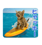 ずっと使える♡夏の気づかいニャンコ（個別スタンプ：23）