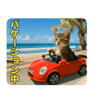 ずっと使える♡夏の気づかいニャンコ（個別スタンプ：24）