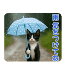 ずっと使える♡夏の気づかいニャンコ（個別スタンプ：26）