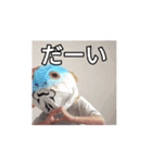 サカナトテラス（無料）（個別スタンプ：4）