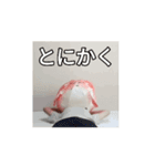 サカナトテラス（無料）（個別スタンプ：7）