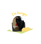 ウチのぬこandうさ（個別スタンプ：4）