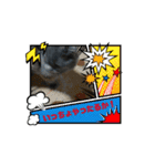 ウチのぬこandうさ（個別スタンプ：7）