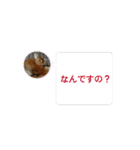 ウチのぬこandうさ（個別スタンプ：15）