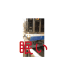 動く鉄道スタンプ(2)使ってね（個別スタンプ：13）