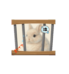 うさぎのルー2（個別スタンプ：3）