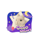 うさぎのルー2（個別スタンプ：5）
