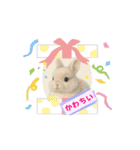 うさぎのルー2（個別スタンプ：7）