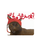 お酒とネコ好きな日常会話 45（個別スタンプ：5）