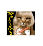お酒とネコ好きな日常会話 45（個別スタンプ：14）