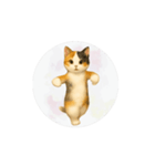 猫が踊っててすみません（文字なしver）（個別スタンプ：5）