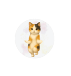 猫が踊っててすみません（文字なしver）（個別スタンプ：7）