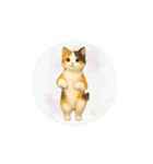 猫が踊っててすみません（文字なしver）（個別スタンプ：9）
