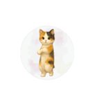 猫が踊っててすみません（文字なしver）（個別スタンプ：10）