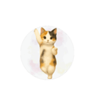 猫が踊っててすみません（文字なしver）（個別スタンプ：13）