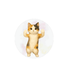 猫が踊っててすみません（文字なしver）（個別スタンプ：14）