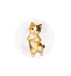 猫が踊っててすみません（文字なしver）（個別スタンプ：15）