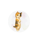 猫が踊っててすみません（文字なしver）（個別スタンプ：16）