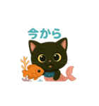 動く熱帯魚と黒猫の豆の日常会話（個別スタンプ：1）