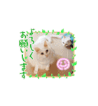 うちの子ら。日常編（個別スタンプ：6）