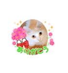 うちの子ら。日常編（個別スタンプ：9）