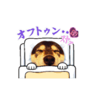 うちの子ら。日常編（個別スタンプ：15）