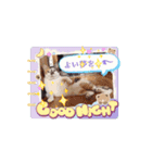 うちの子ら。日常編（個別スタンプ：16）