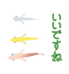 動くメダカ7（個別スタンプ：4）