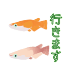 動くメダカ7（個別スタンプ：5）